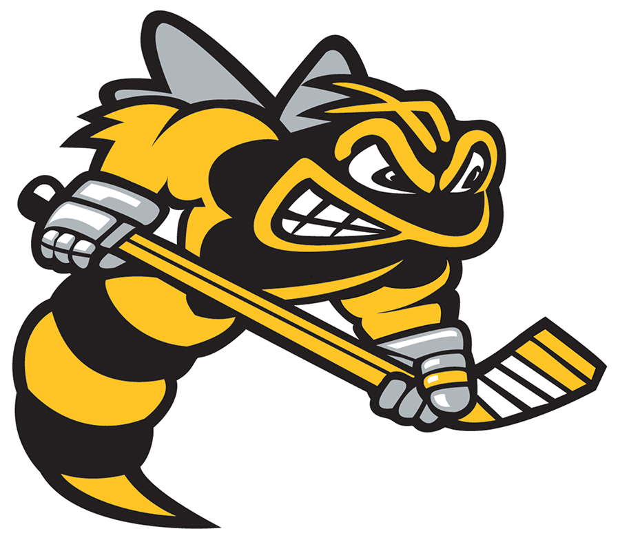 Sarnia Sting 2019-Pres Primary Logo iron on transfers for T-shirts